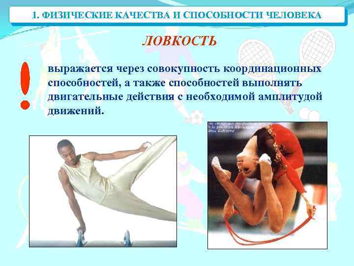 1. ФИЗИЧЕСКИЕ КАЧЕСТВА И СПОСОБНОСТИ ЧЕЛОВЕКА ЛОВКОСТЬ выражается через совокупность координационных способностей, а также