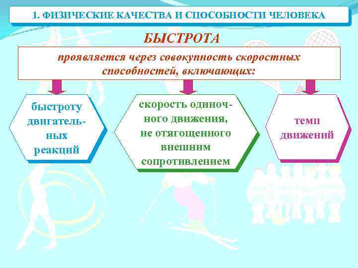 1. ФИЗИЧЕСКИЕ КАЧЕСТВА И СПОСОБНОСТИ ЧЕЛОВЕКА БЫСТРОТА проявляется через совокупность скоростных способностей, включающих: быстроту