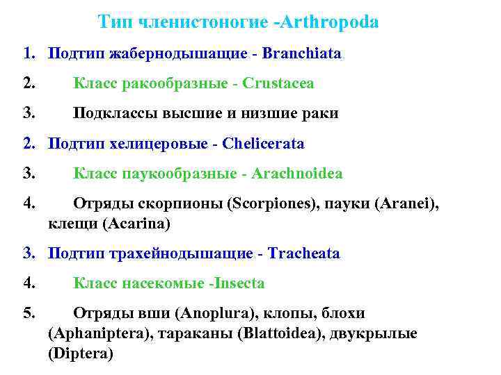 Тип членистоногие подтипы. Тип Членистоногие Подтип Жабродышащие. Подтип Жабернодышащие. Branchiata основное.