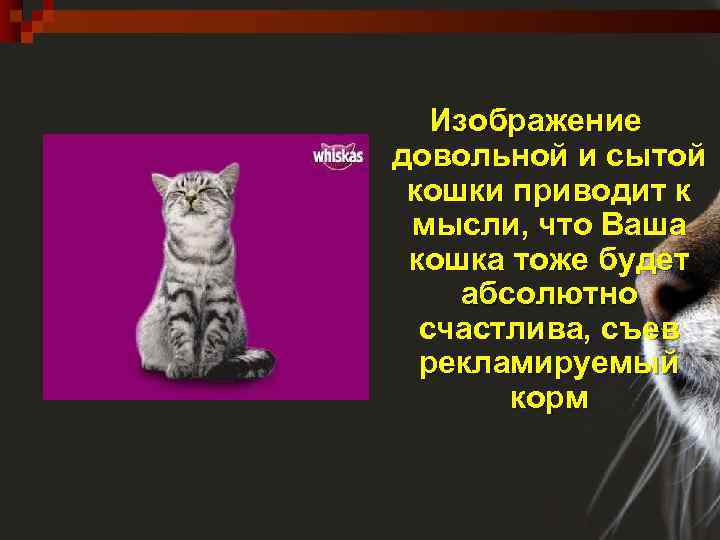 Изображение довольной и сытой кошки приводит к мысли, что Ваша кошка тоже будет абсолютно