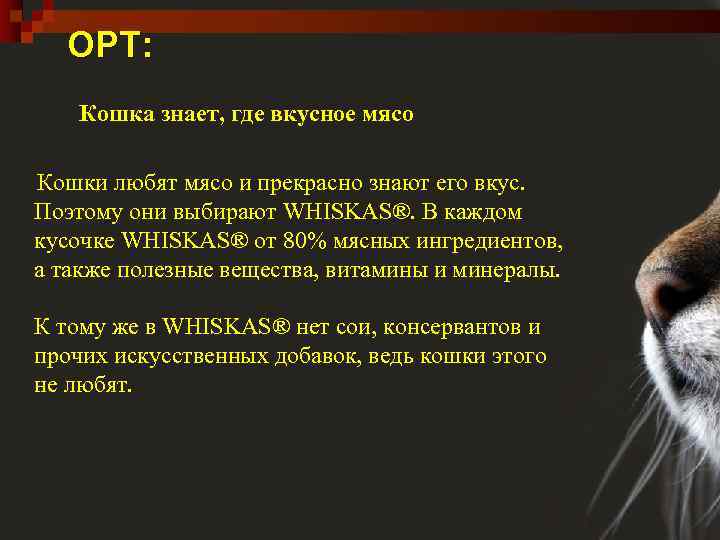ОРТ: Кошка знает, где вкусное мясо Кошки любят мясо и прекрасно знают его вкус.