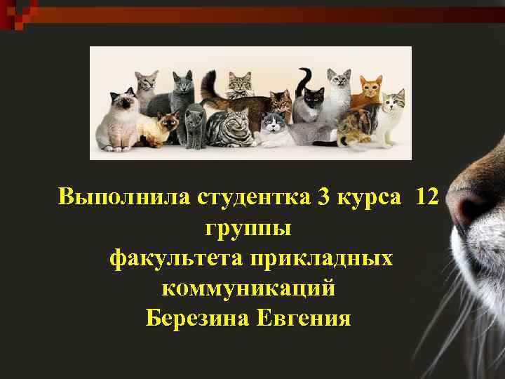 Выполнила студентка 3 курса 12 группы факультета прикладных коммуникаций Березина Евгения 