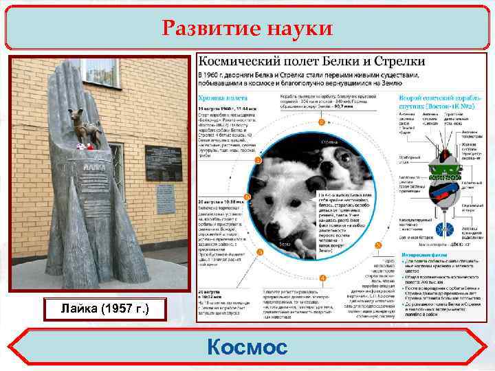 Развитие науки Лайка (1957 г. ) Космос 
