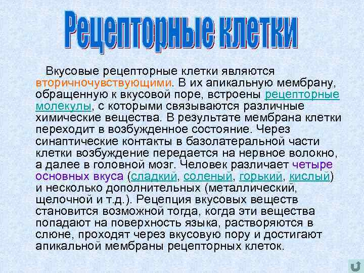  Вкусовые рецепторные клетки являются вторичночувствующими. В их апикальную мембрану, обращенную к вкусовой поре,