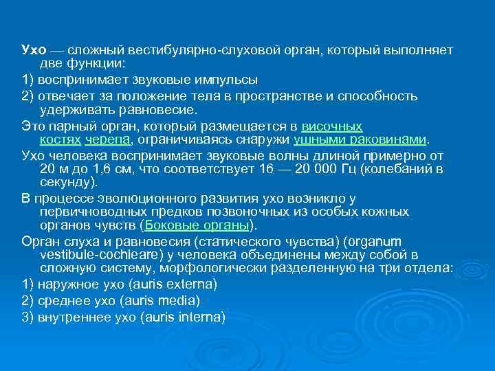 Ухо — сложный вестибулярно-слуховой орган, который выполняет две функции: 1) воспринимает звуковые импульсы 2)