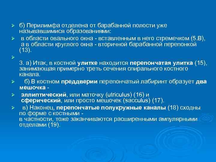 б) Перилимфа отделена от барабанной полости уже называвшимися образованиями: Ø в области овального окна