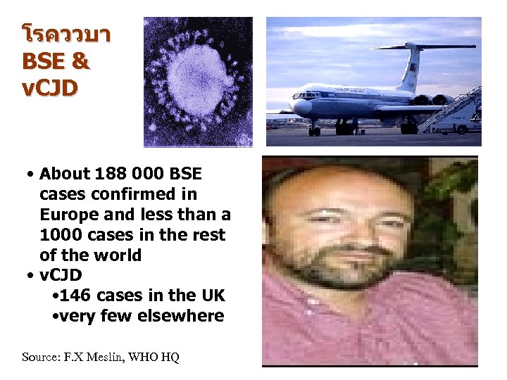 โรคววบา BSE & v. CJD • About 188 000 BSE cases confirmed in Europe