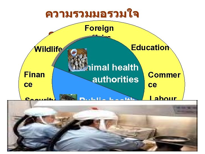 ความรวมมอรวมใจ Foreign ควบคมไขหวดนก affairs Education Wildlife Finan ce Security Animal health Commer authorities ce