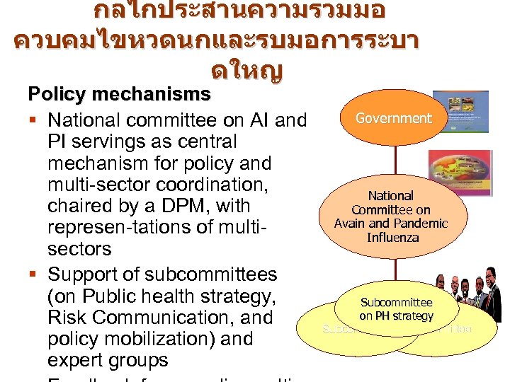 กลไกประสานความรวมมอ ควบคมไขหวดนกและรบมอการระบา ดใหญ Policy mechanisms § National committee on AI and PI servings as