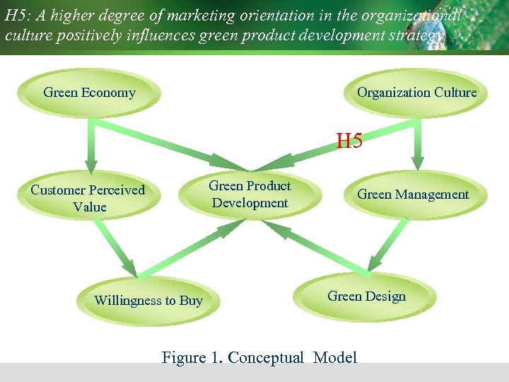 H 5: A higher degree of marketing orientation in the organizational culture positively influences