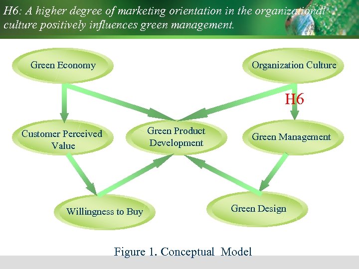 H 6: A higher degree of marketing orientation in the organizational culture positively influences