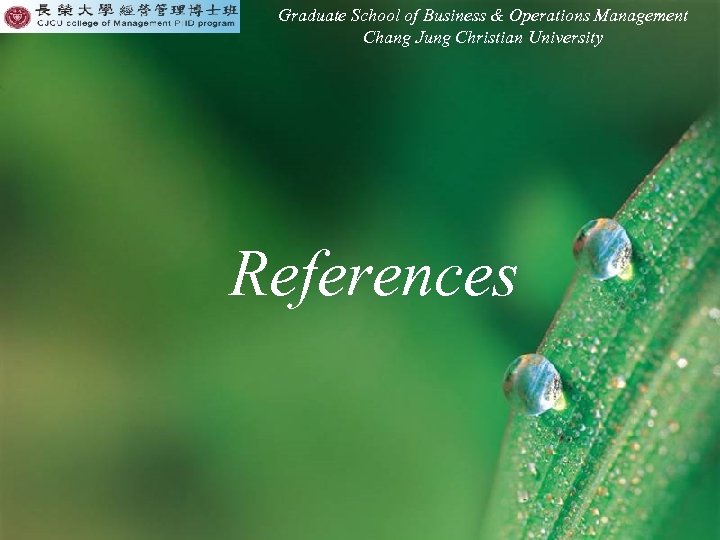 Graduate School of Business & Operations Management Chang Jung Christian University References 