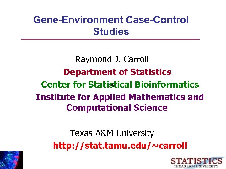 Gene-Environment Case-Control Studies Raymond J. Carroll Department of Statistics Center for Statistical Bioinformatics Institute