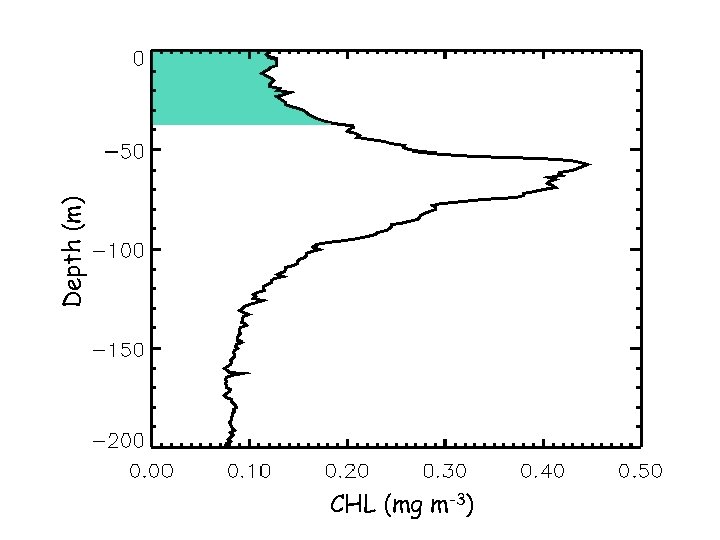 Depth (m) CHL (mg m-3) 