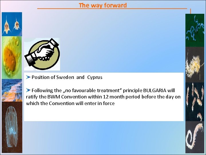  Position of Sweden and Cyprus Following the „no favourable treatment” principle BULGARIA will