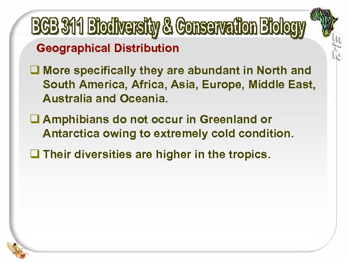 Geographical Distribution q More specifically they are abundant in North and South America, Africa,