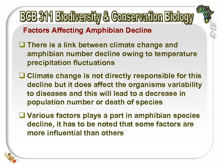 Factors Affecting Amphibian Decline q There is a link between climate change and amphibian