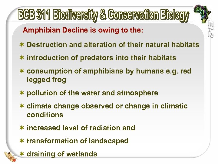 Amphibian Decline is owing to the: ¬ Destruction and alteration of their natural habitats
