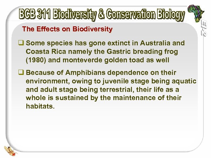 The Effects on Biodiversity q Some species has gone extinct in Australia and Coasta