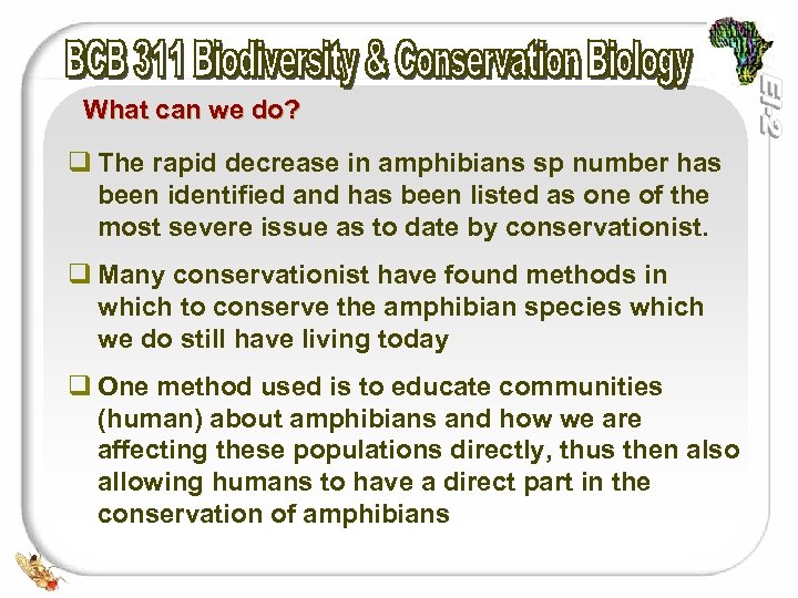 What can we do? q The rapid decrease in amphibians sp number has been