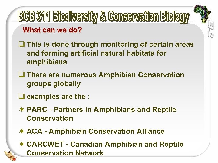 What can we do? q This is done through monitoring of certain areas and
