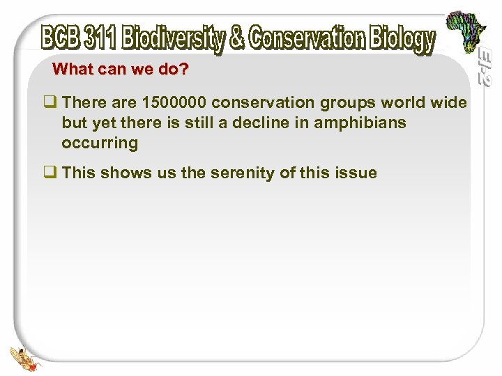 What can we do? q There are 1500000 conservation groups world wide but yet
