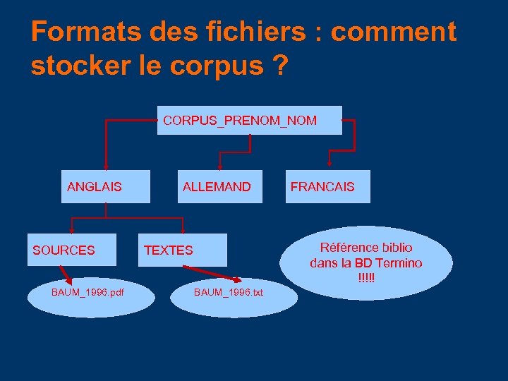 Formats des fichiers : comment stocker le corpus ? CORPUS_PRENOM_NOM ANGLAIS SOURCES BAUM_1996. pdf