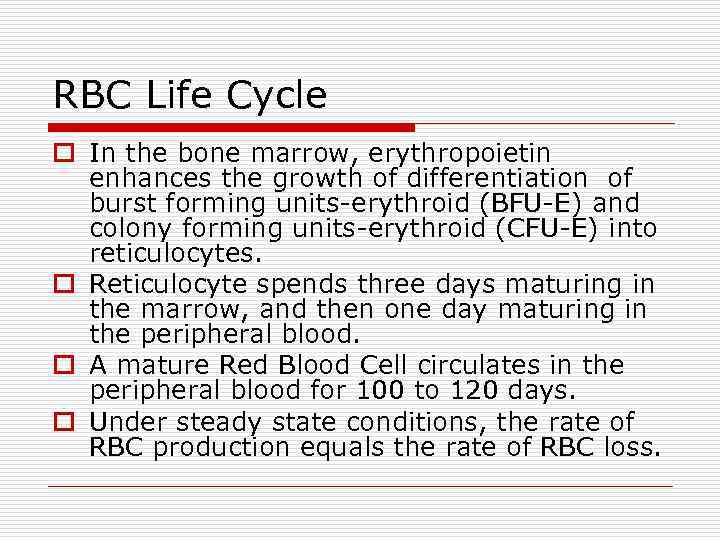 RBC Life Cycle o In the bone marrow, erythropoietin enhances the growth of differentiation