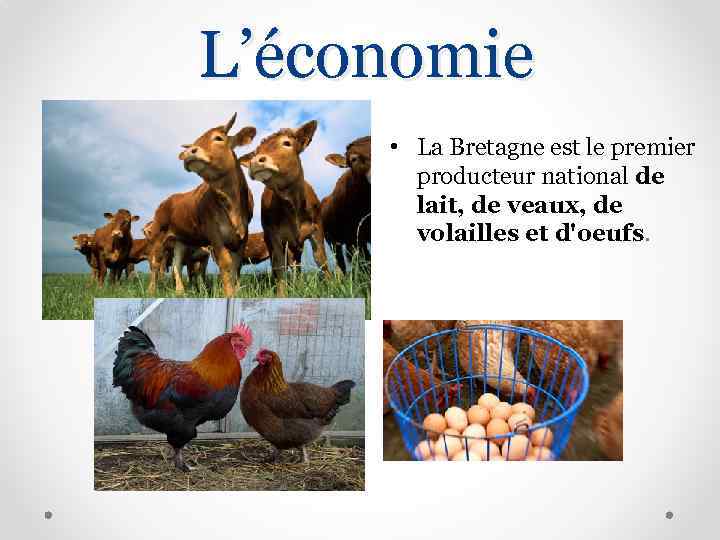 L’économie • La Bretagne est le premier producteur national de lait, de veaux, de