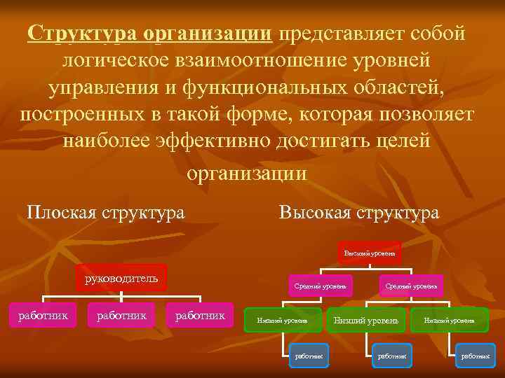 Структура организации представляет собой логическое взаимоотношение уровней управления и функциональных областей, построенных в такой