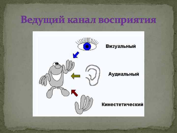 Ведущий канал восприятия 