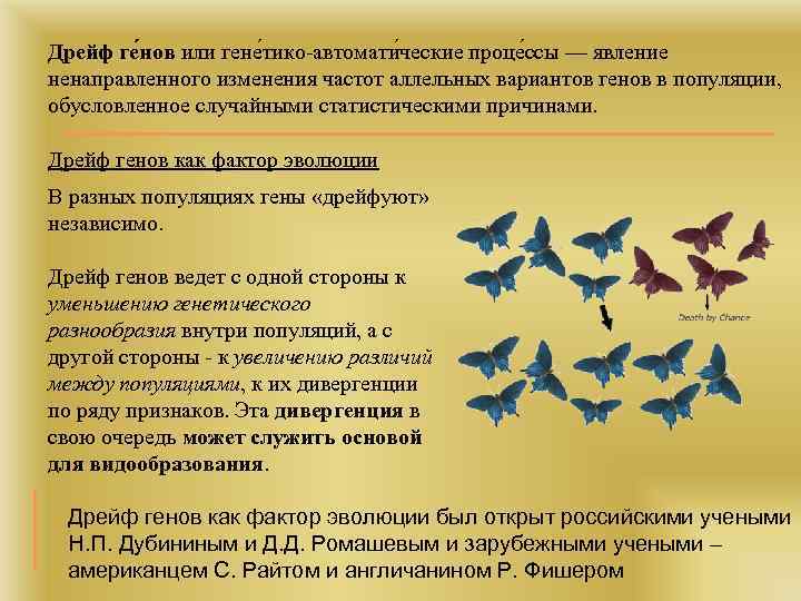 Дрейф гена. Дрейф генов примеры. Дрейф генов фактор эволюции. Опыт Райта дрейф генов. Дрейф генов примеры биология.