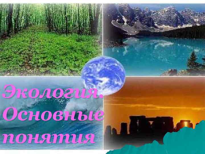 Экология. Основные понятия 
