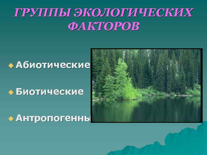 ГРУППЫ ЭКОЛОГИЧЕСКИХ ФАКТОРОВ u Абиотические u Биотические u Антропогенные 