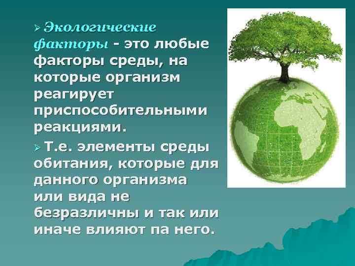 Ø Экологические факторы - это любые факторы среды, на которые организм реагирует приспособительными реакциями.