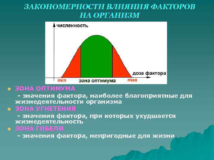ЗАКОНОМЕРНОСТИ ВЛИЯНИЯ ФАКТОРОВ НА ОРГАНИЗМ ЗОНА ОПТИМУМА - значения фактора, наиболее благоприятные для жизнедеятельности