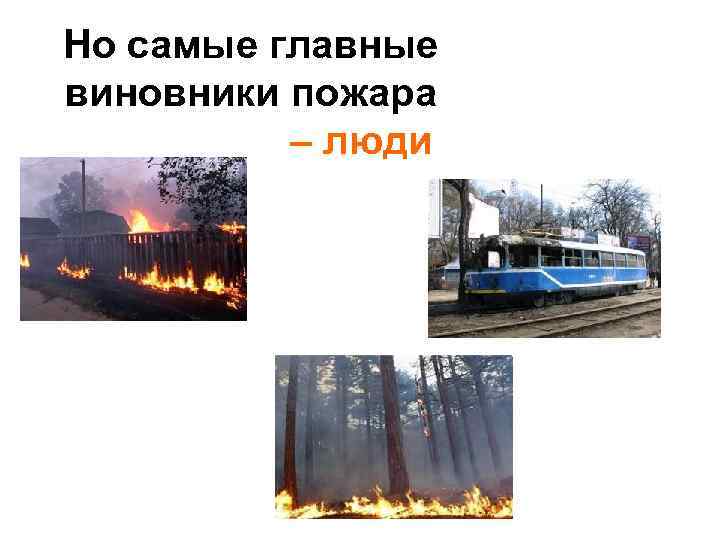 Но самые главные виновники пожара – люди 
