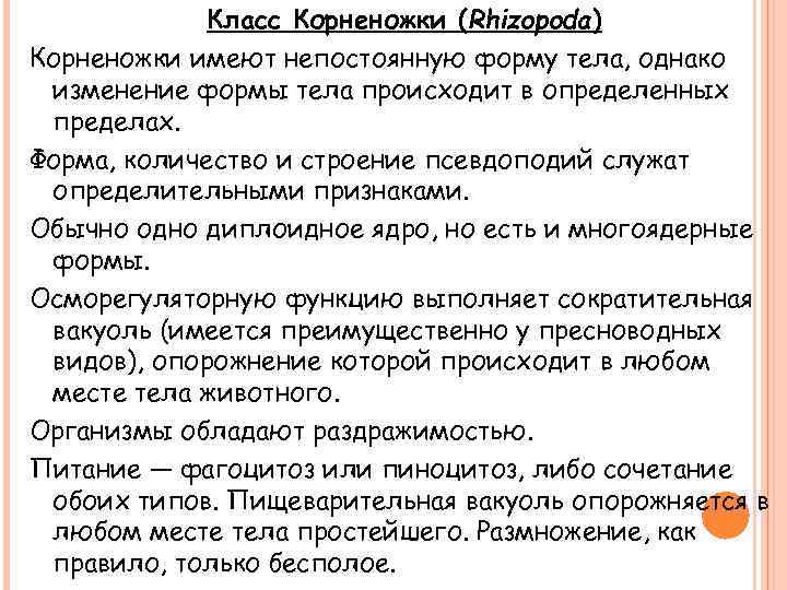 Класс Корненожки (Rhizopoda) Корненожки имеют непостоянную форму тела, однако изменение формы тела происходит в