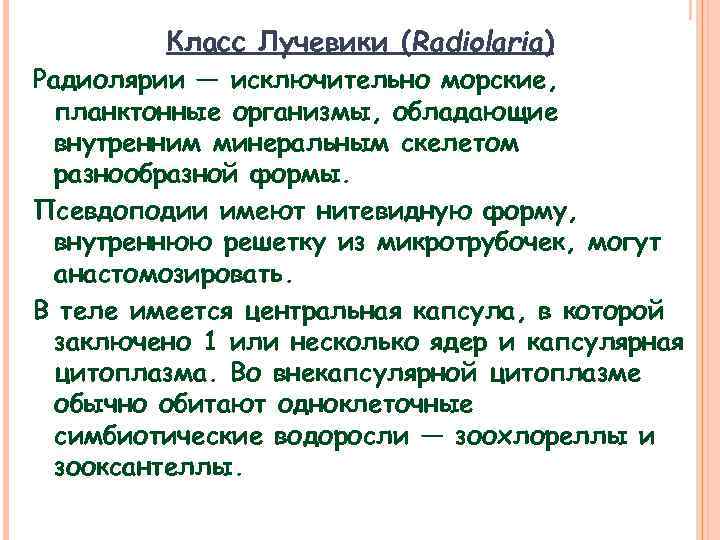Класс Лучевики (Radiolaria) Радиолярии — исключительно морские, планктонные организмы, обладающие внутренним минеральным скелетом разнообразной