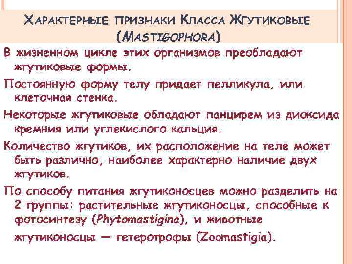 ХАРАКТЕРНЫЕ КЛАССА ЖГУТИКОВЫЕ (MASTIGOPHORA) ПРИЗНАКИ В жизненном цикле этих организмов преобладают жгутиковые формы. Постоянную
