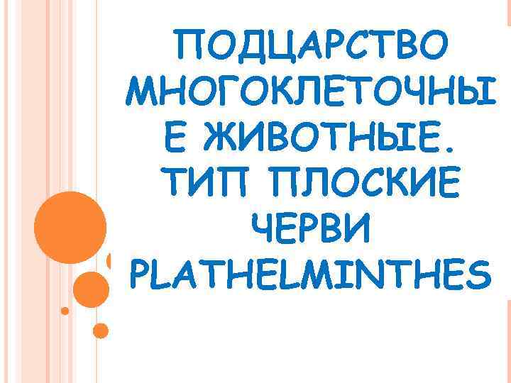 ПОДЦАРСТВО МНОГОКЛЕТОЧНЫ Е ЖИВОТНЫЕ. ТИП ПЛОСКИЕ ЧЕРВИ PLATHELMINTHES 