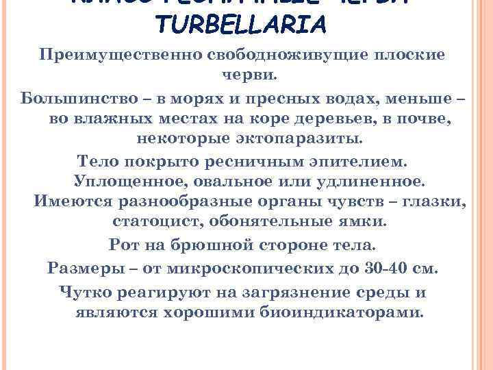 КЛАСС РЕСНИЧНЫЕ ЧЕРВИ TURBELLARIA Преимущественно свободноживущие плоские черви. Большинство – в морях и пресных