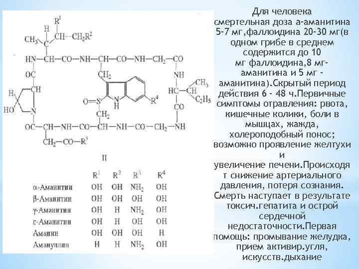 Для человека смертельная доза a-аманитина 5 -7 мг, фаллоидина 20 -30 мг(в одном грибе