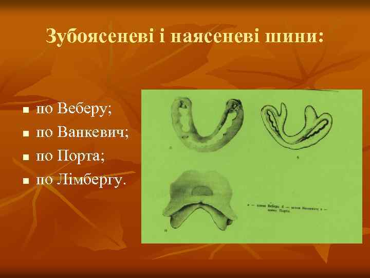 Зубоясеневі і наясеневі шини: n n по Веберу; по Ванкевич; по Порта; по Лімбергу.