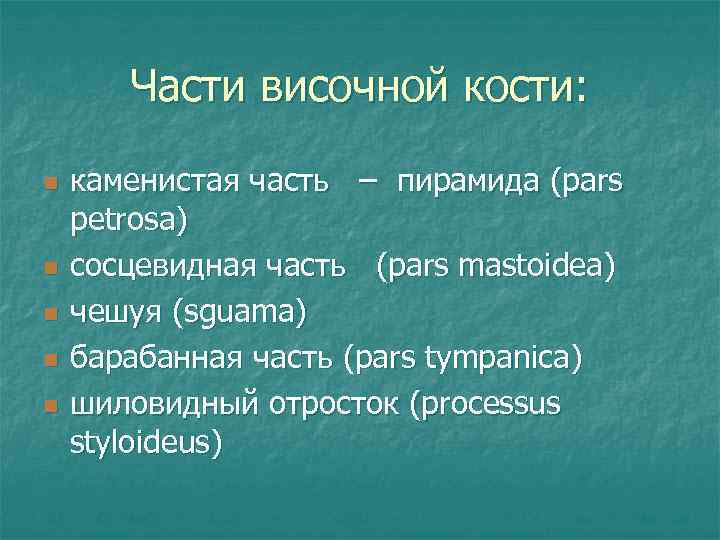 Части височной кости: n n n каменистая часть – пирамида (pars petrosa) сосцевидная часть