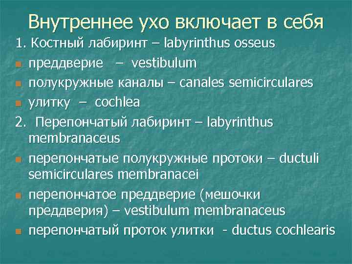 Внутреннее ухо включает в себя 1. Костный лабиринт – labyrinthus osseus n преддверие –