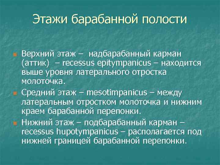 Этажи барабанной полости n n n Верхний этаж – надбарабанный карман (аттик) – recessus