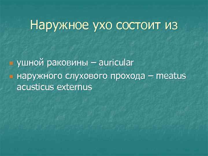 Наружное ухо состоит из n n ушной раковины – auricular наружного слухового прохода –