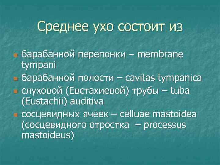 Среднее ухо состоит из n n барабанной перепонки – membrane tympani барабанной полости –