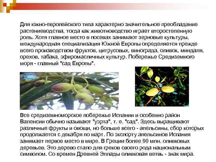 Для южно-европейского типа характерно значительное преобладание растениеводства, тогда как животноводство играет второстепенную роль. Хотя